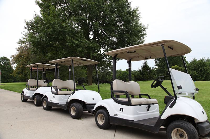 Fairview Golf Carts
